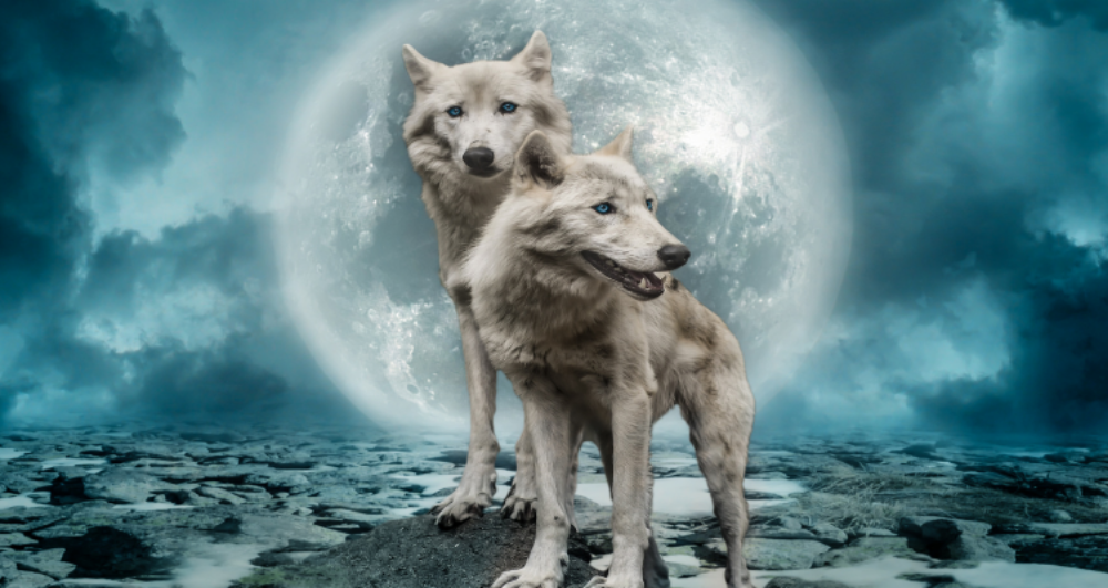 CHEROKEE STORY OF TWO WOLVES