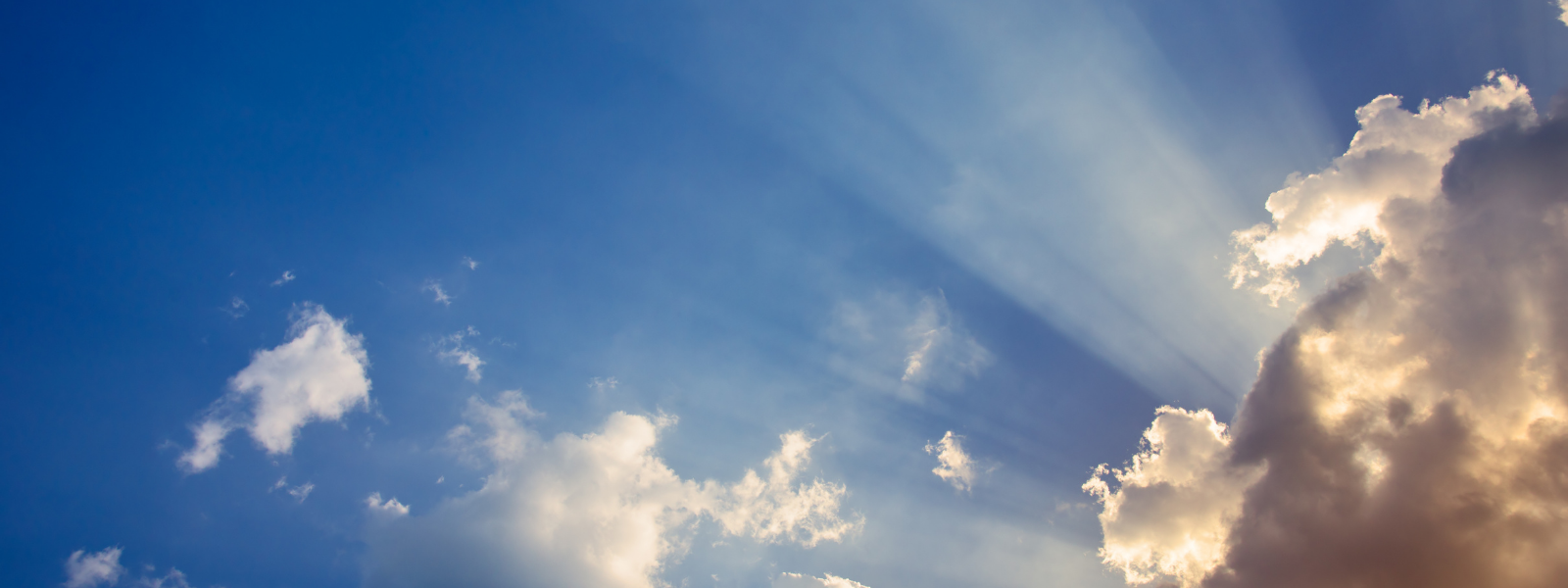 What Faith Can Do